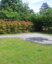 Gärtner Widmer Bild 8