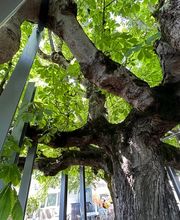 ELLEXA Sàrl Bild 11