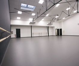 DKDanse image 7