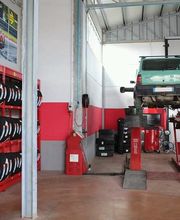 Gallery Cliente