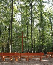 FriedWald Meroder Wald Bild 6