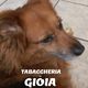Tabaccheria da Gioia di Monica Orlando