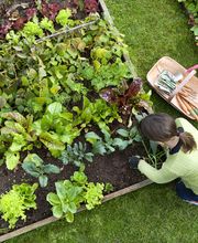 La Parenthèse au vert image 5