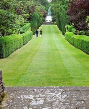 Velay Espaces Verts image 11