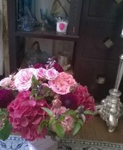 Marie Paolini image 9