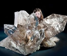 Naturhistorisches Museum Bern Bild 12