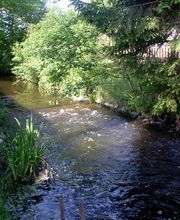 Camping & Ferienpark Waldfrieden Bild 16