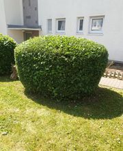 Ch-Clean - Gebäudereinigung & Objektservice Bild 20