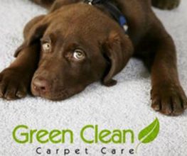 CARPET CARE MAISON CHAVAN SARL Bild 2