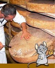 la Grenette SA Bild 1