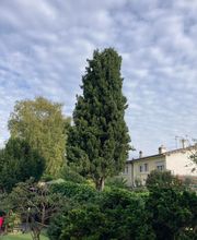 Les Jardins de Fortuné image 2