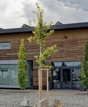 Daub Bad&Heizung GmbH Bild 1