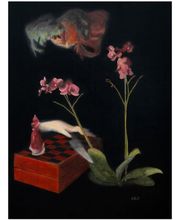 Stéphane Pannetier Le Hénaff image 5