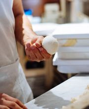 Gallery Professionale