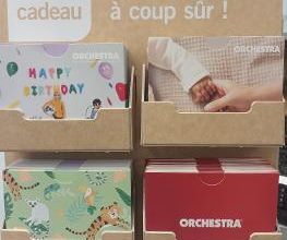 Orchestra LECOUSSE image 6