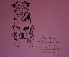 Bine's Hundestyling Bild 7