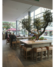 Elektro Bauermeister Bild 1