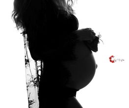 C. Dans l'objectif image 3