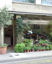 Au Flamboyant Bild 3