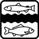 Erzgebirgs-Fisch GbR