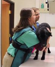 Carbon County Veterinary Hospital image 6