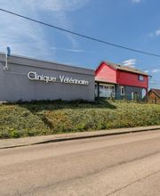 Clinique Vétérinaire Mon Véto Bourgtheroulde image 7