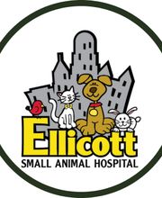 Ellicott Street Animal Hospital image 3