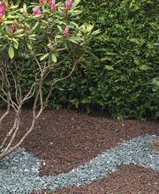 Bellaina Gartengestaltung Bild 1