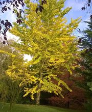 VERT-ESPACE EURL image 4