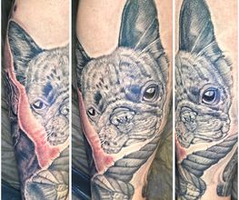 Fein gestochenes Black-and-Grey-Tattoo einer Französischen Bulldogge mit Seil und realistischen Fell-Details.
