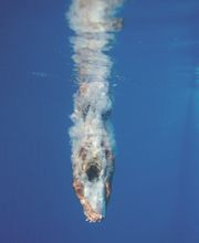 Ecoeur Frères SA Bild 5