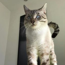 Cabinet Vétérinaire de Vésenaz