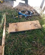 Fleetwood Pest Control image 4