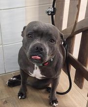 A FLAIR ALLURE image 17