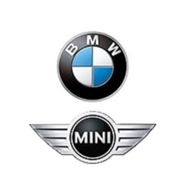 Blu Car logo