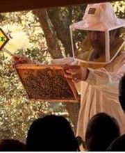 La Miellerie Des Clauses image 1