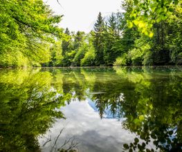 Teichbau und Gewässertechnik Matzen Bild 1