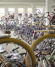 BIKE PROFIS Zwickau e. K. Bild 9