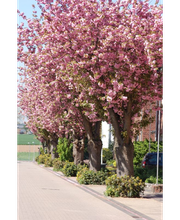 Rommerskirchen Gemeindeverwaltung Bild 6