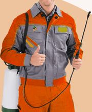 Eden Vert 3D image 1