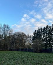 Hundecoach Melly- Mobil & Individuell Bild 11