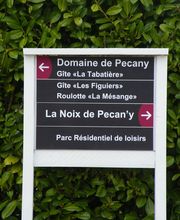 La noix de Pécany image 15
