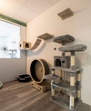 Tierarzt Zentrum & Katzenhotel Bülach Bild 3