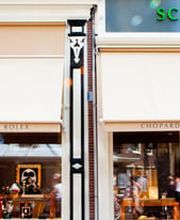 Schaap en Citroen Haarlem afbeelding 1