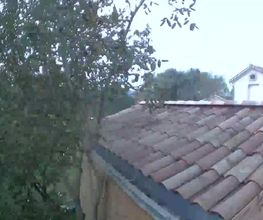 Bisiaux Georges image 4