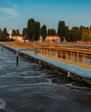 MOSQUINTES, S.L imagen 3