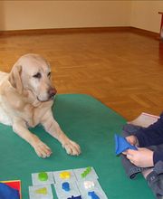 Ergo- & Reittherapie Junker Jutta Bild 6