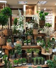 Blumen Interfleur Floristik & Wohnaccessoires Bild 8