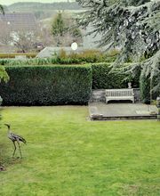 Daily Gartenpflege Bild 2