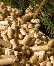 Drac Jean-Claude image 1